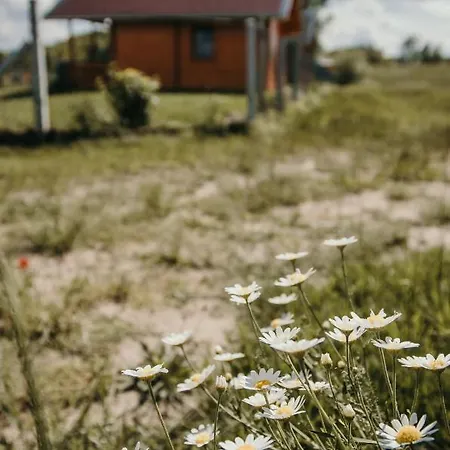 Korcal Apartman Koronco